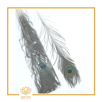 ريش طاووس 90 سم