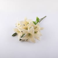 ورد كازابلانكا ( ليليوم ) صناعي