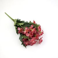 ورد بيبي ياسمين