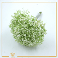 جبسوفيليا ملون