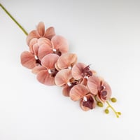 اوركيد صناعي