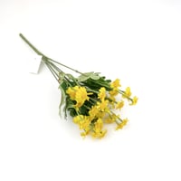 تباع الشمس بيبي