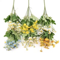 تباع الشمس بيبي