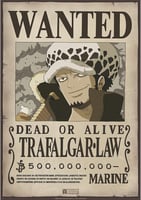 WANTED - A4 (2)