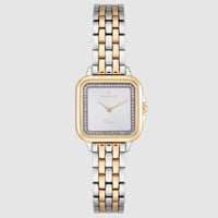 فضي إطار ذهبي