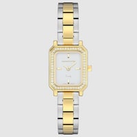 فضي إطار ذهبي