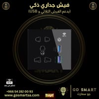 فيش جداري ذكي مع مخرج USB