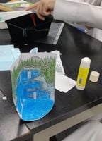 نموذج POP-UP لمنطقة السفانا