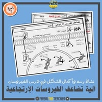 مخطط آلية تضاعف الفيروسات الارتجاعية - احياء 1