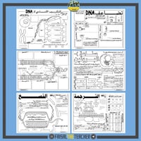 مهام ادائية لوحدة الوراثة الجزيئية