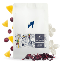 قوجي هامبيلا إثيوبيا - GUJI HAM ETHIOPIA