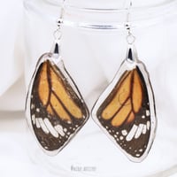 butterfly earrings