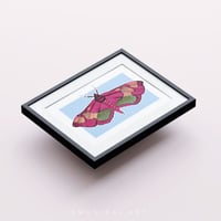 رسمه مطبوعه\ بوستر العثه