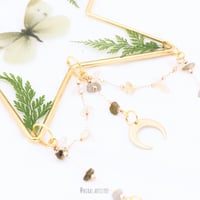 سن كاتشر - لوحه النجمه