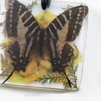 تعليقه سياره فراشه وورد اصفر