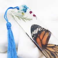 فاصل كتاب فراشه حقيقيه