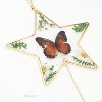 سن كاتشر - نجمه