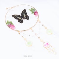 سن كاتشر - فراشه حقيقيه