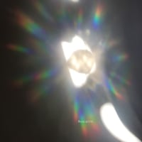 سن كاتشر - فراشه حقيقيه