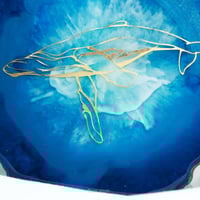 كوستر blue whale