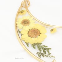 سن كاتشير - هلال اصفر