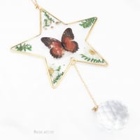 سن كاتشر - نجمه