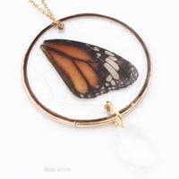 تعليقه سياره جناح فراشه حقيقي