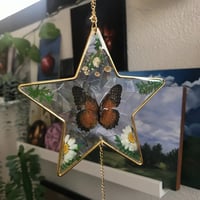 سن كاتشر - نجمه