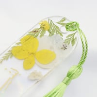 فاصل للقران