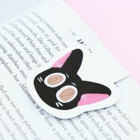 فاصل القط الاسود