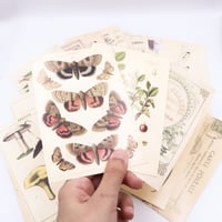 بطاقه بريد- رسمات عتيقه