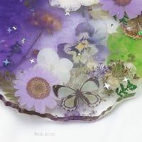 كوستر purple cloud