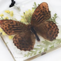 تعليقه سياره فراشه