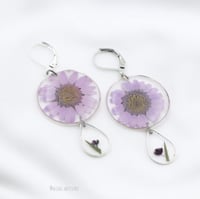 اقراط purple daisy