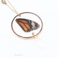 تعليقه سياره جناح فراشه حقيقي