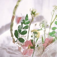 clear coastere قاعده اكواب