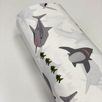 القرش الرمادي