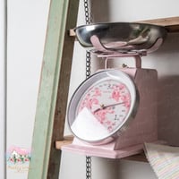 0772 ميزان ريترو معدني أنيق من إزابيل روز 3kg (زهر...