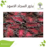 بذور السجاد الاسود