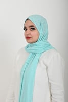 فيروزي