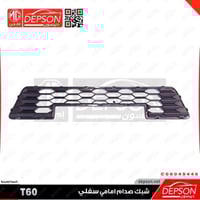 شبك صدام امامي سفلي ونيت ام جي MG-T60