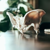 مجسم حوض أنثى