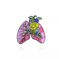 بروشات طبية لاعضاء الجسم