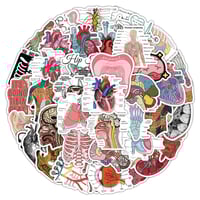 ملصقات اناتومي - ستيكرات تشريح