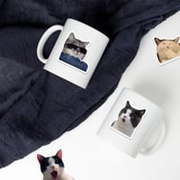 ستيكرات قطط، ملصقات قطط