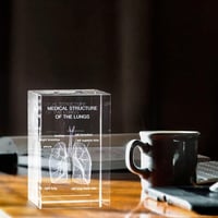 نموذج تشريحي ثلاثي الابعاد