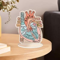 ديكور طاولة - تشريح القلب 2D