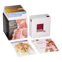 اناتومي فسيولوجي فلاش كارد