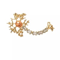 بروش طب الأعصاب