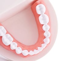 مجسم الاسنان